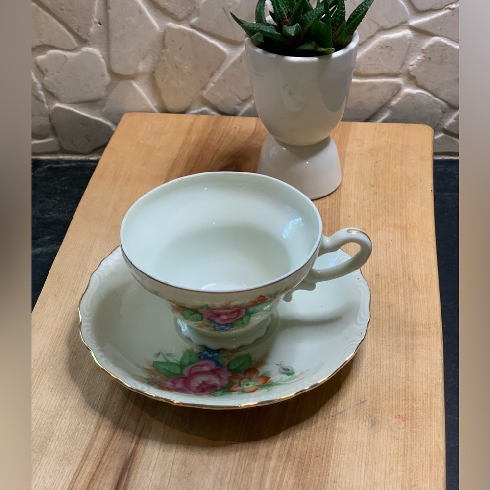 SHAFFORD | Vintage Hand Painted Rose Theme Tea Cup & Saucer